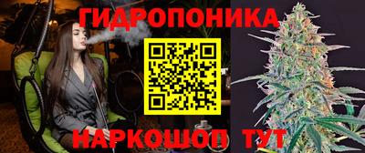 дживик Ставрополь