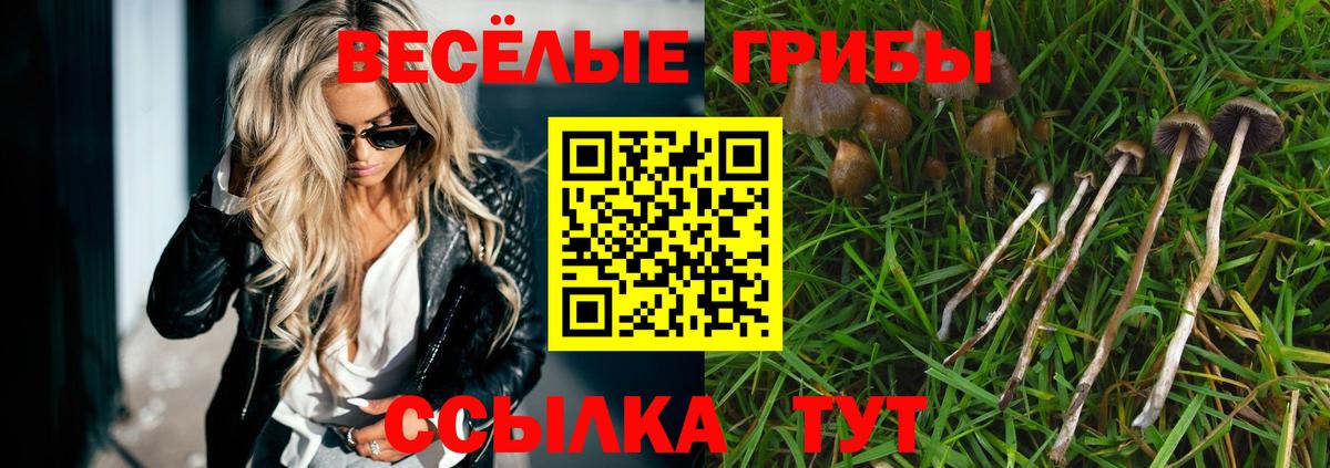 Нижнеудинск  Галлюциногенные грибы GOLDEN TEACHER  Вход с VPN  Галлюциногенные грибы прущие грибы 
