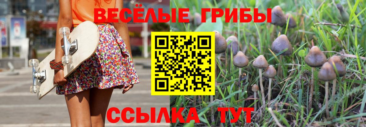 Галлюциногенные грибы прущие грибы Нижнеудинск